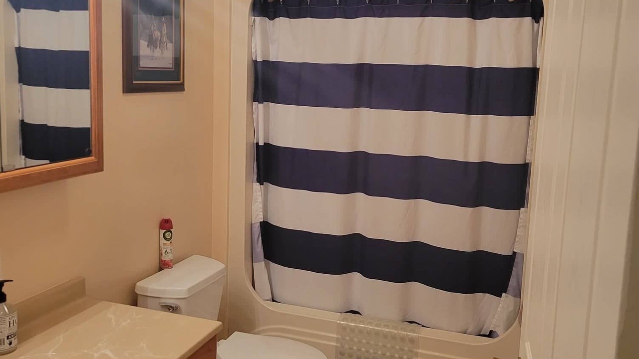 Photo of Bathroom in Teasdale