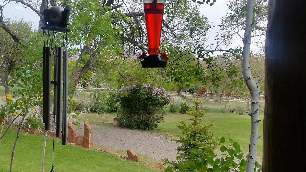 Photo of Outdoor in Teasdale