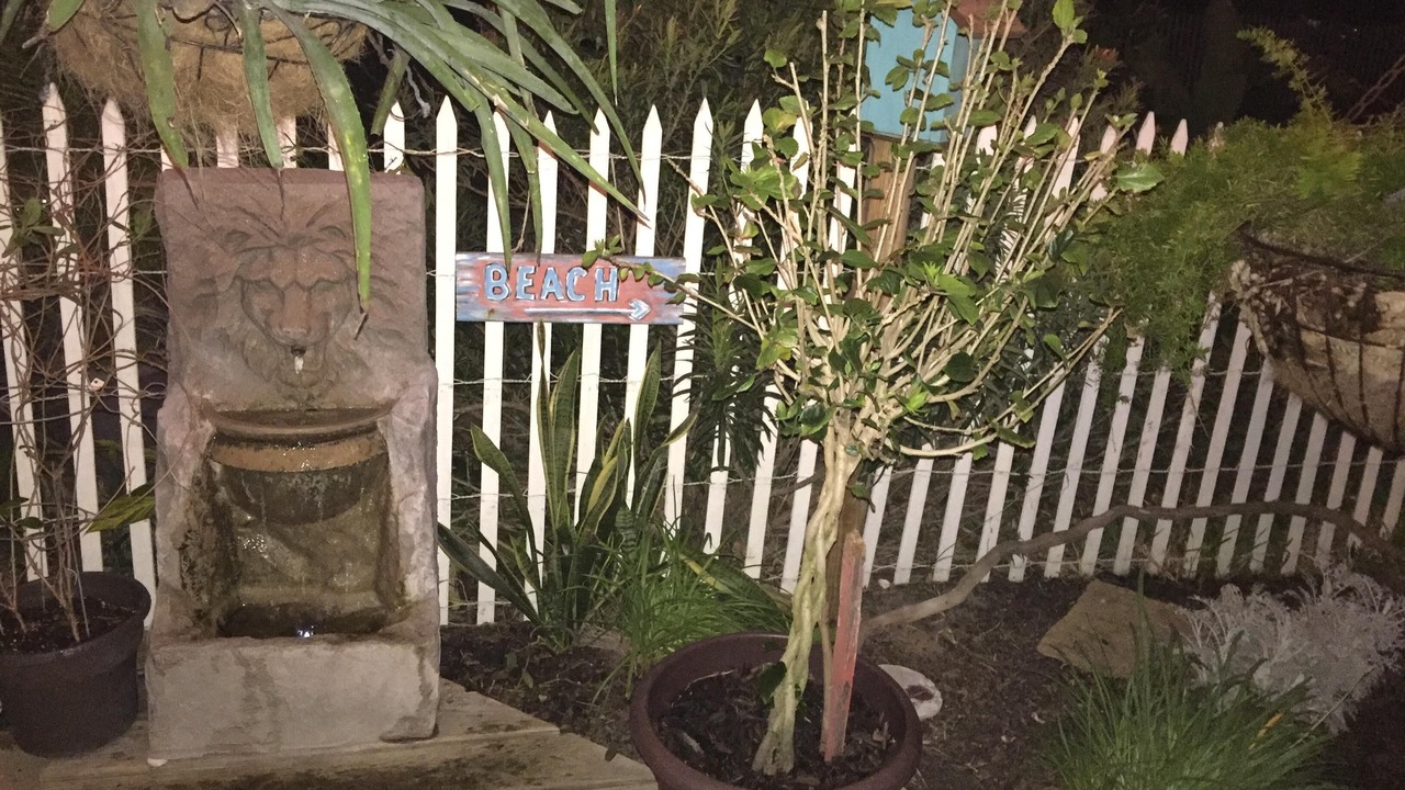 Photo of Outdoor in Surfside Beach