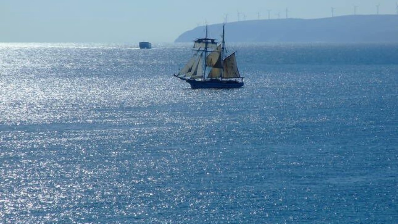 Photo of Others in Penneshaw