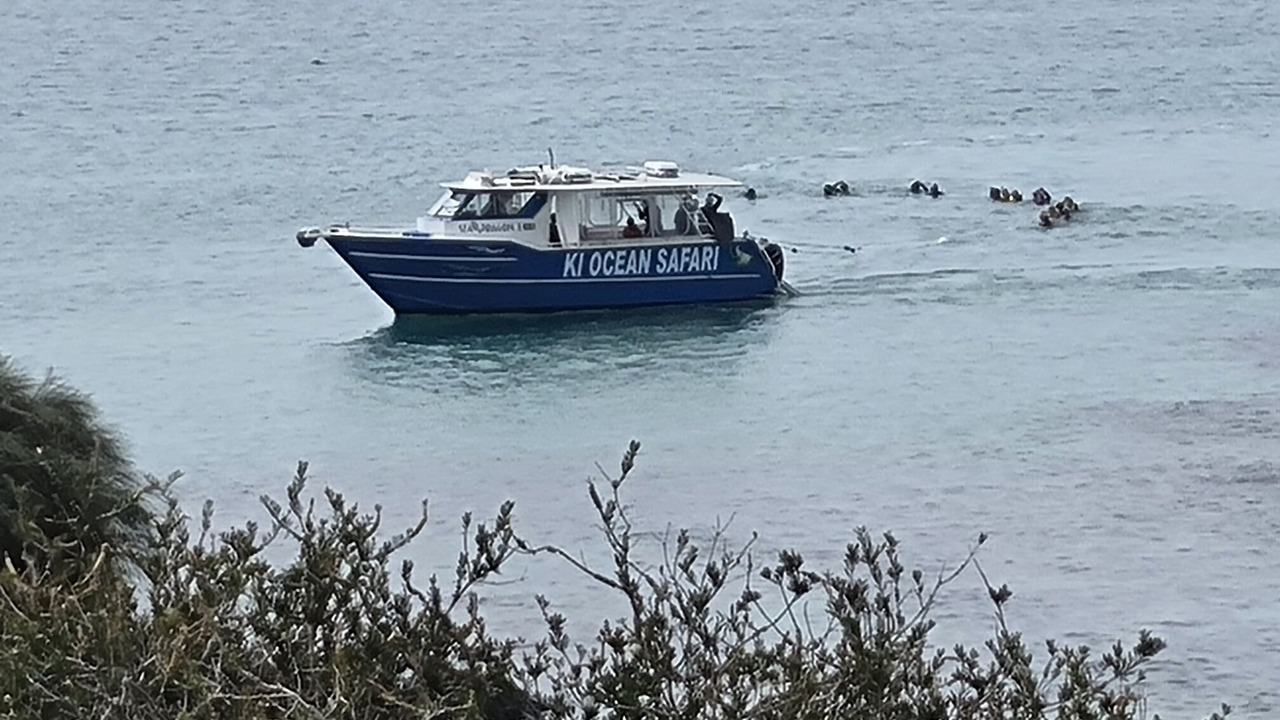 Photo of Others in Penneshaw