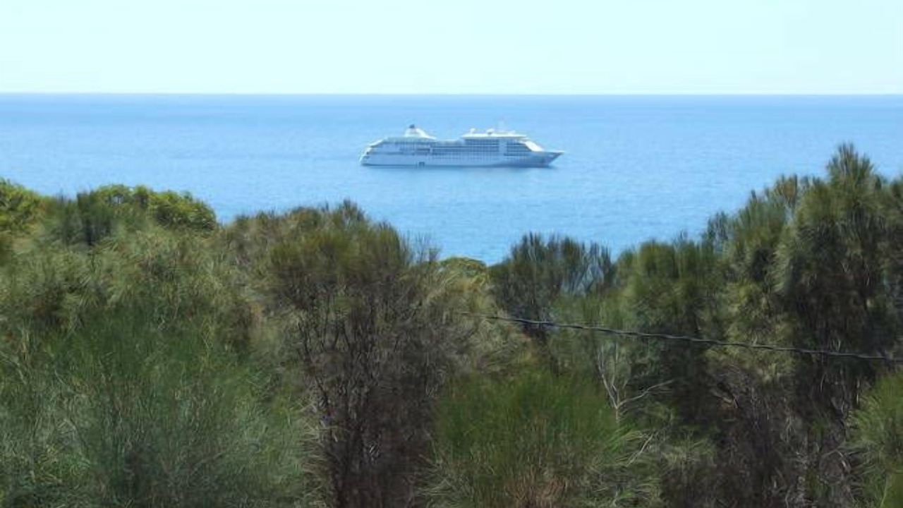 Photo of Others in Penneshaw