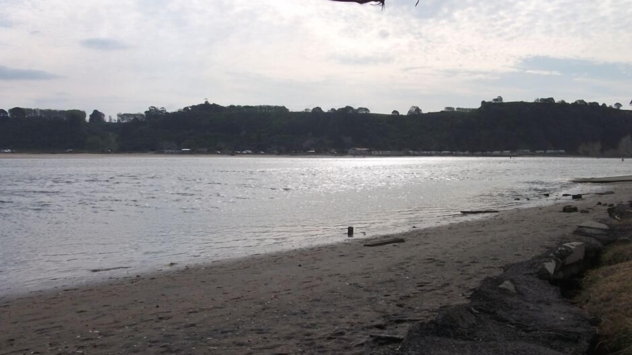 Photo of Others in Pukehina