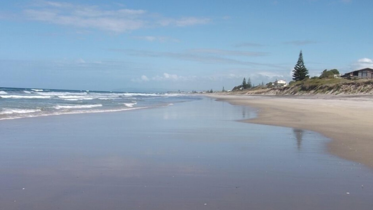 Photo of Others in Pukehina