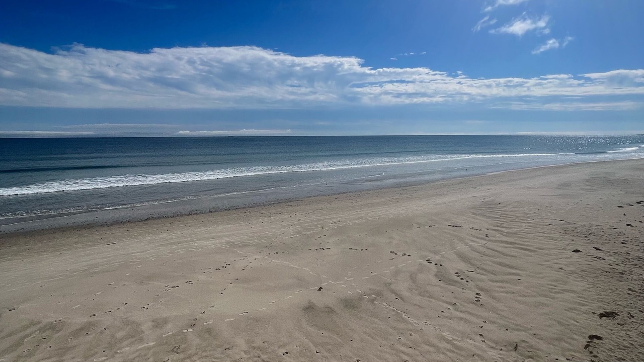 Photo of Others in Ocean Bluff-Brant Rock