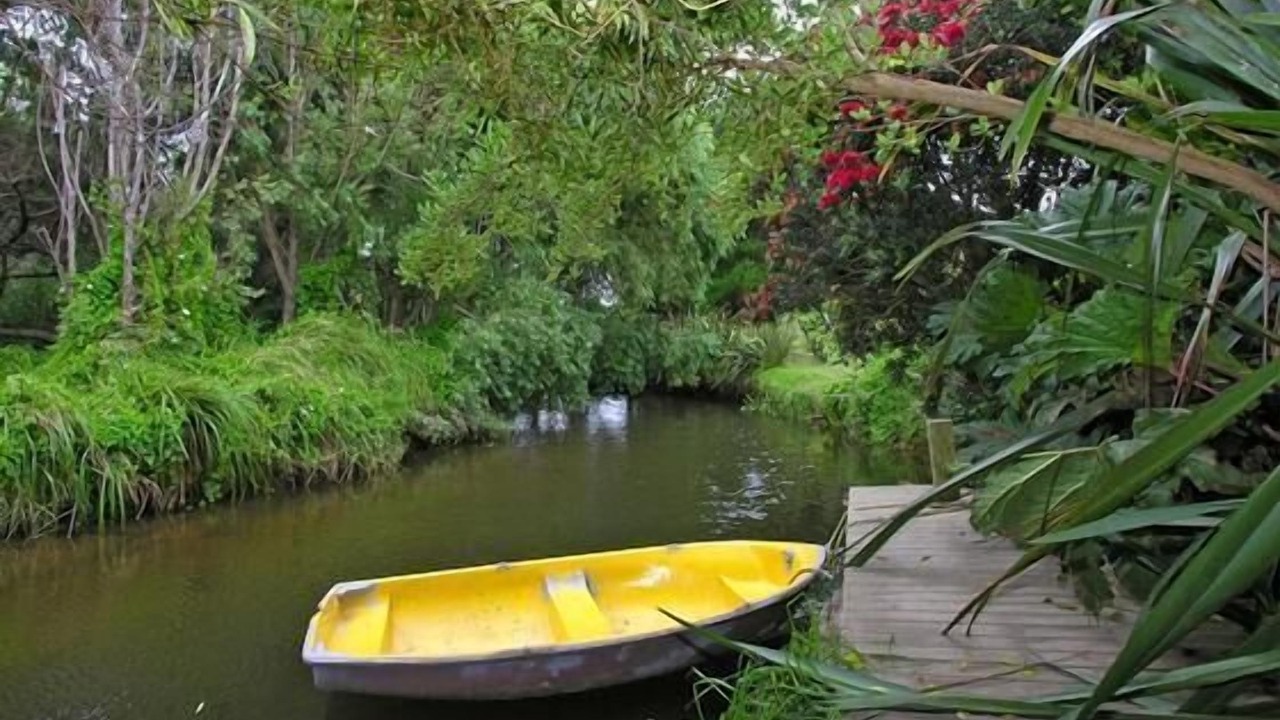 Photo of Others in Otaki Beach