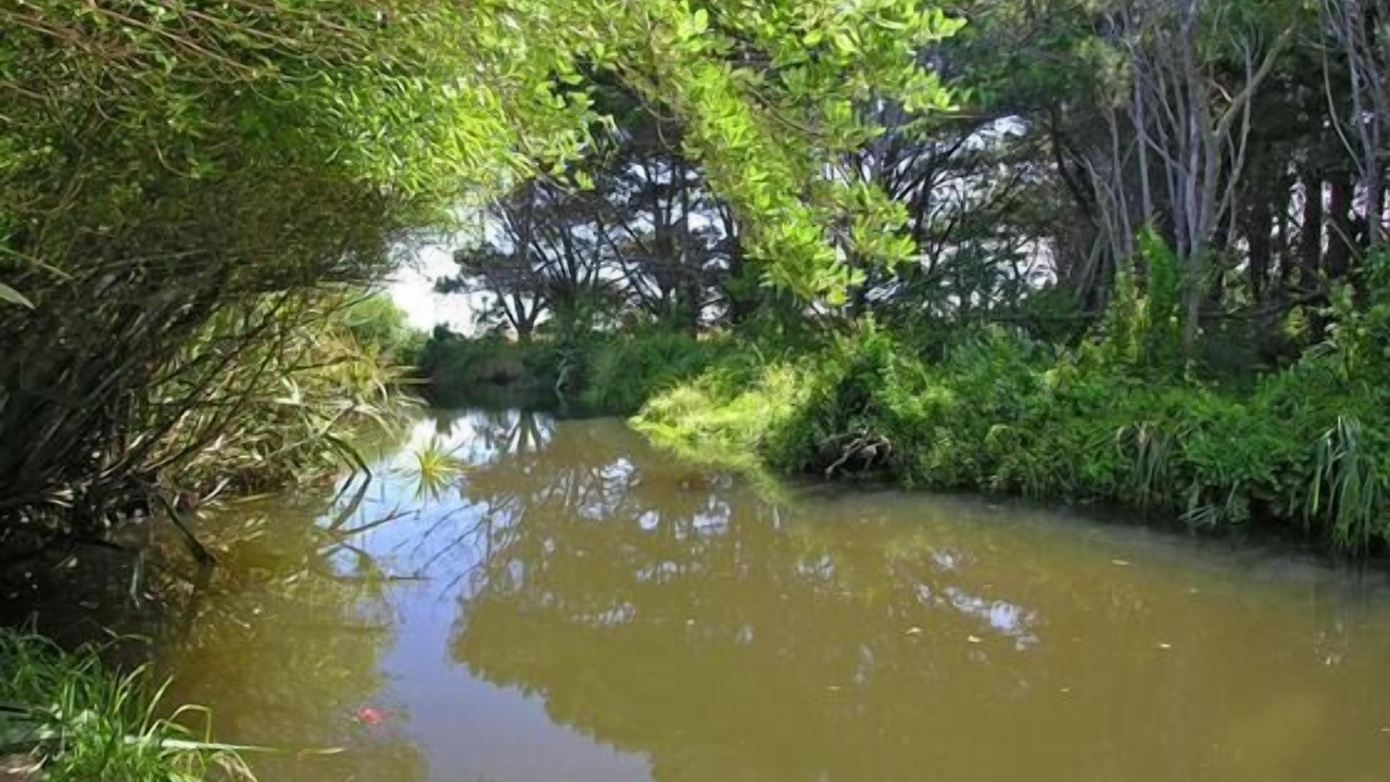 Photo of Others in Otaki Beach