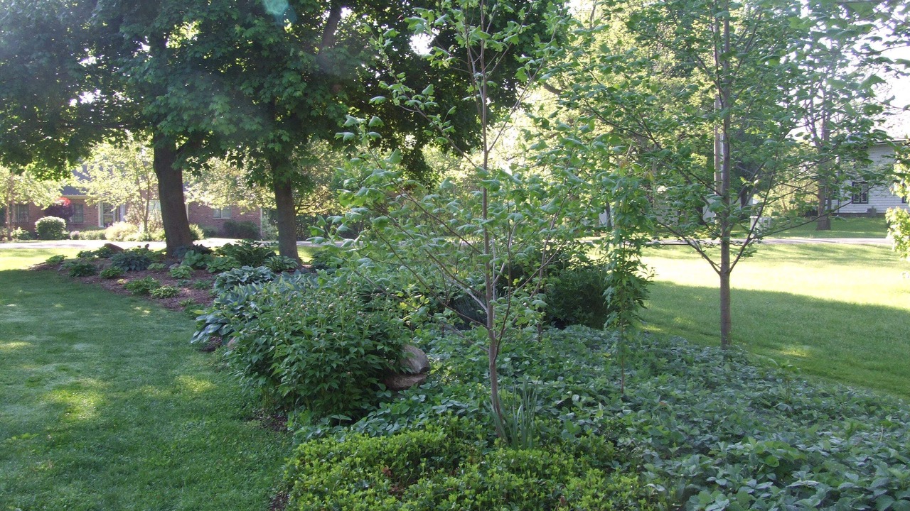 Photo of Outdoor in Acton