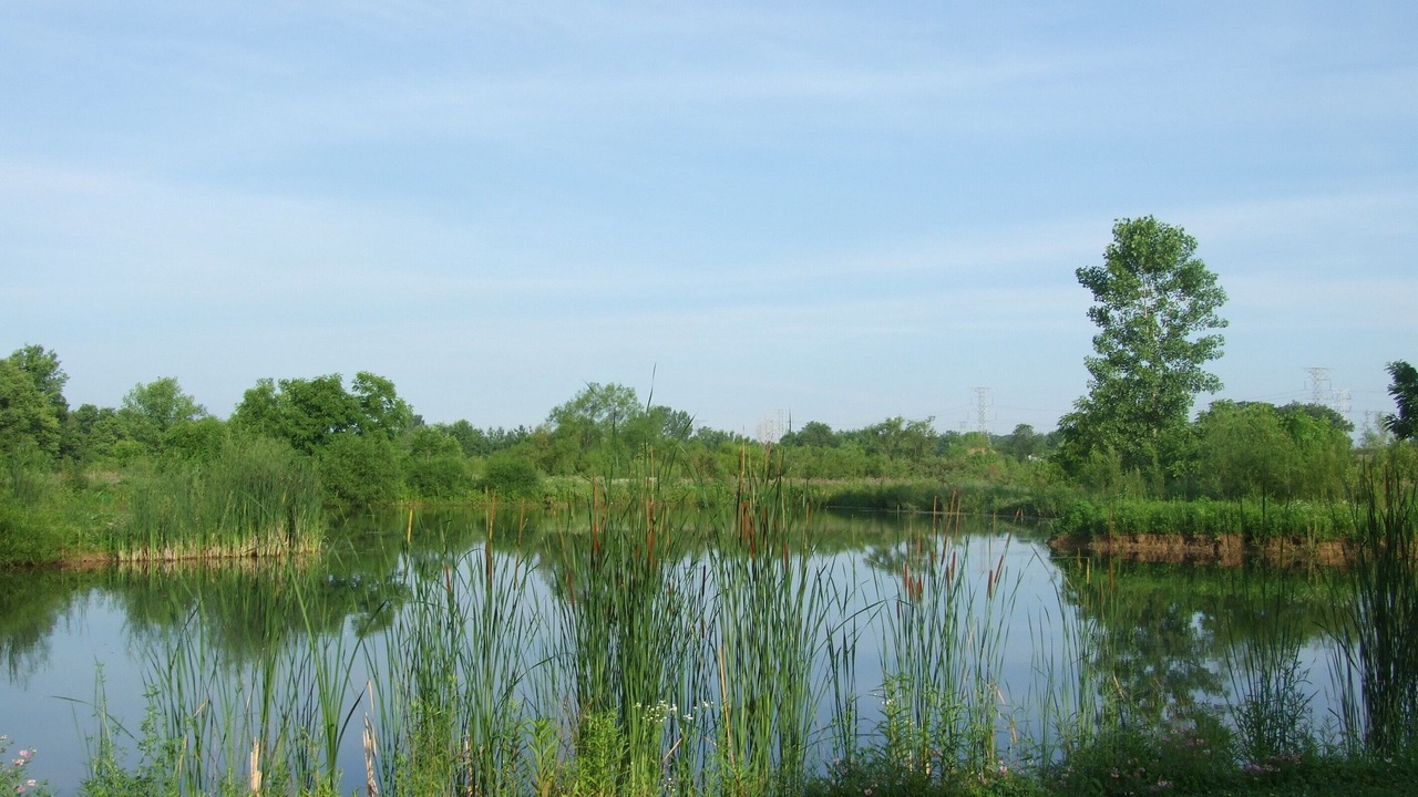 Photo of Outdoor in Acton