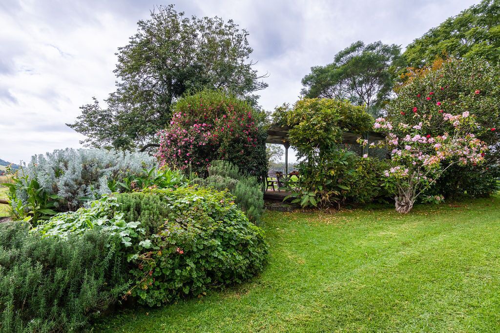 Photo of Outdoor in Berry