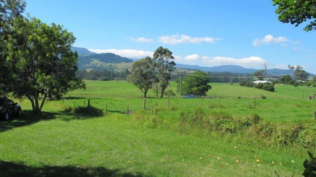 Photo of Others in Berry