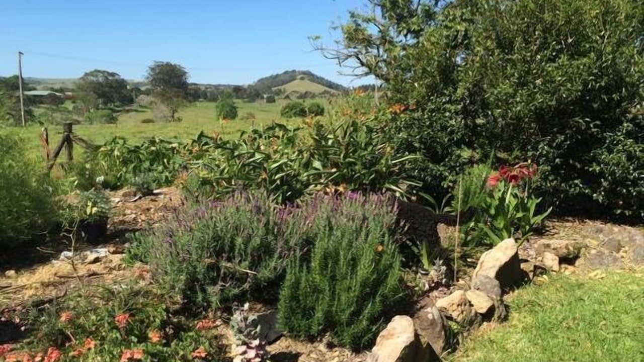 Photo of Outdoor in Berry