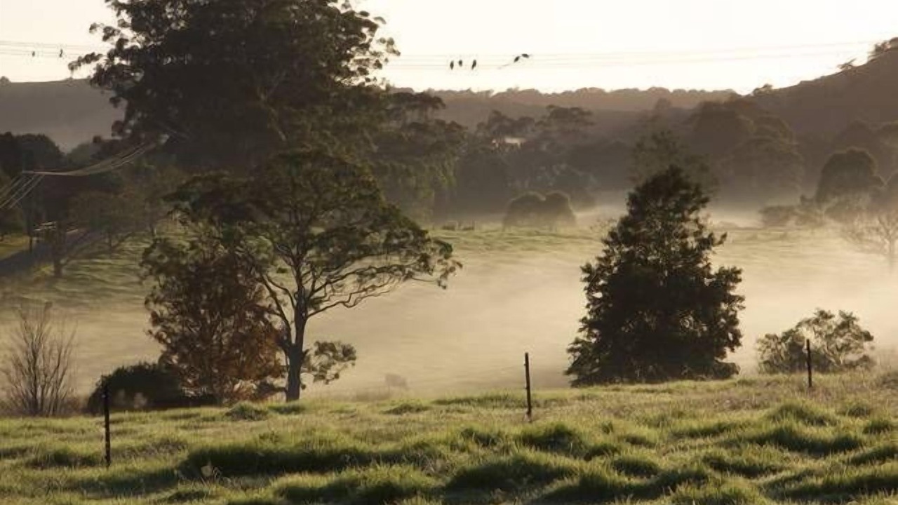 Photo of Others in Berry