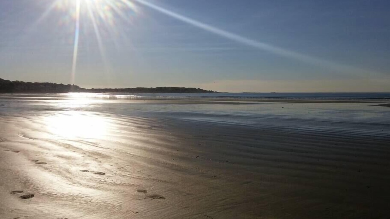 Photo of Others in Swampscott