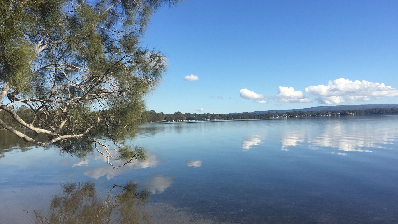 Photo of Others in Bonnells Bay