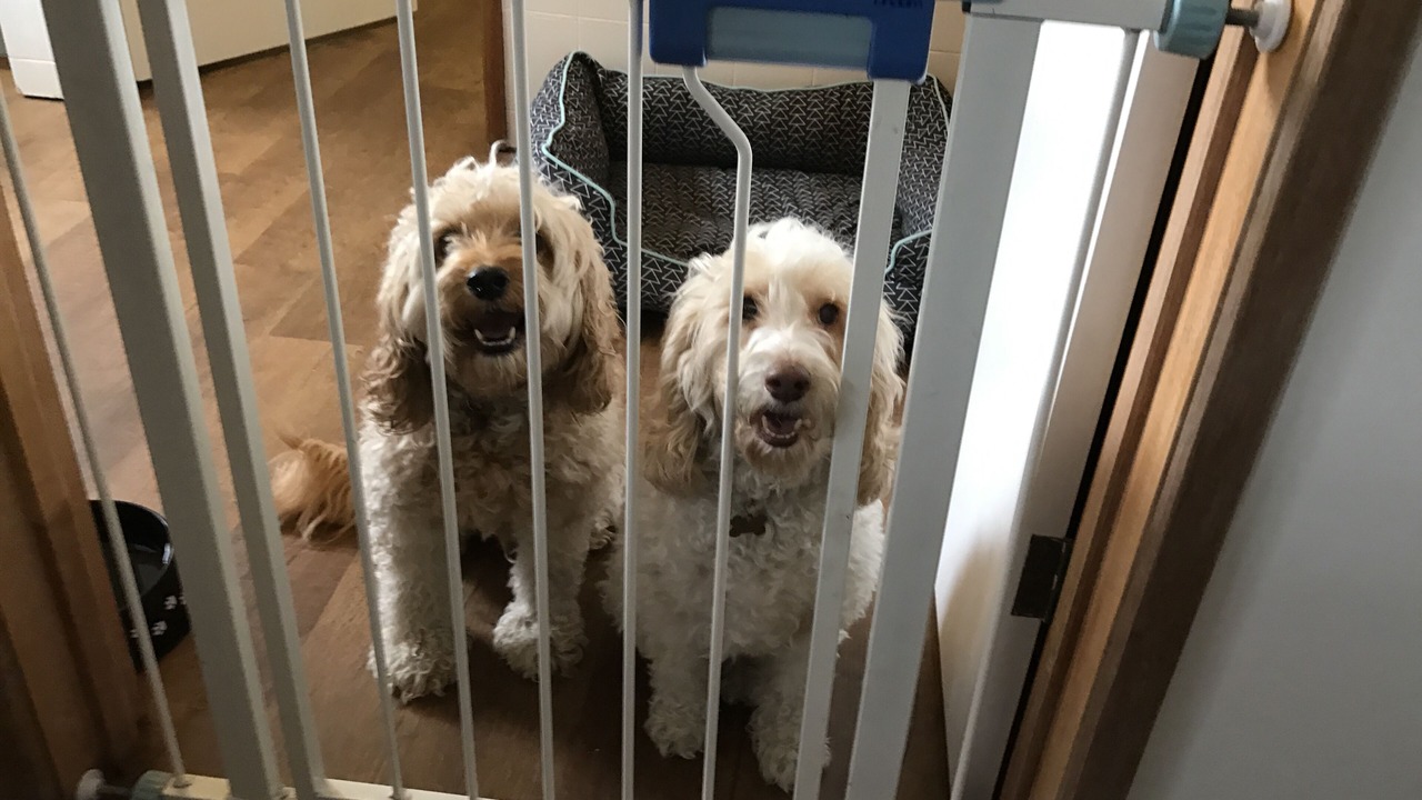 Photo of Others in Inverloch