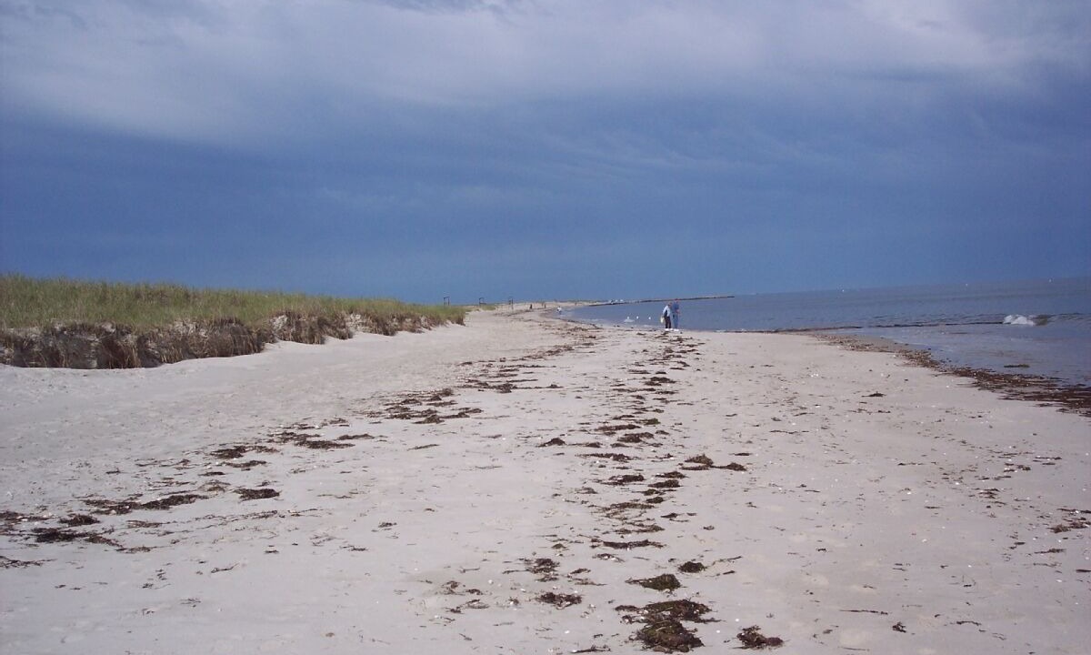Photo of Others in West Yarmouth