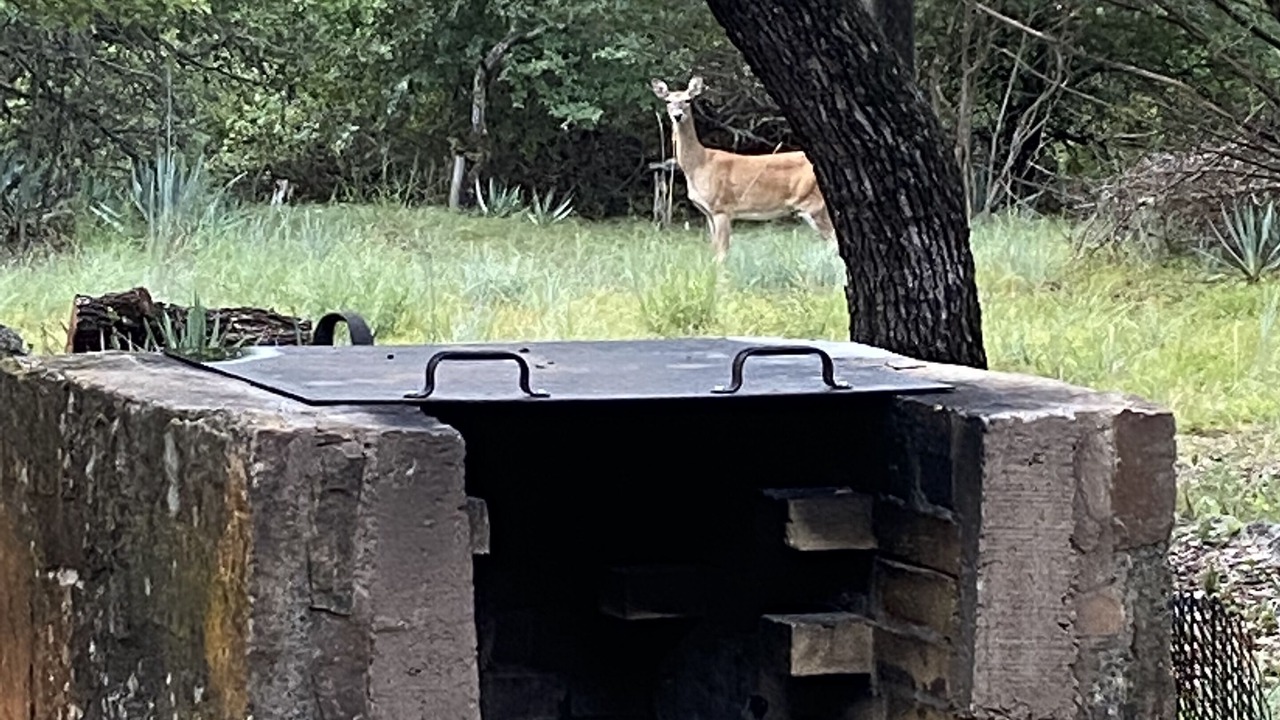 Photo of Outdoor in Brownwood