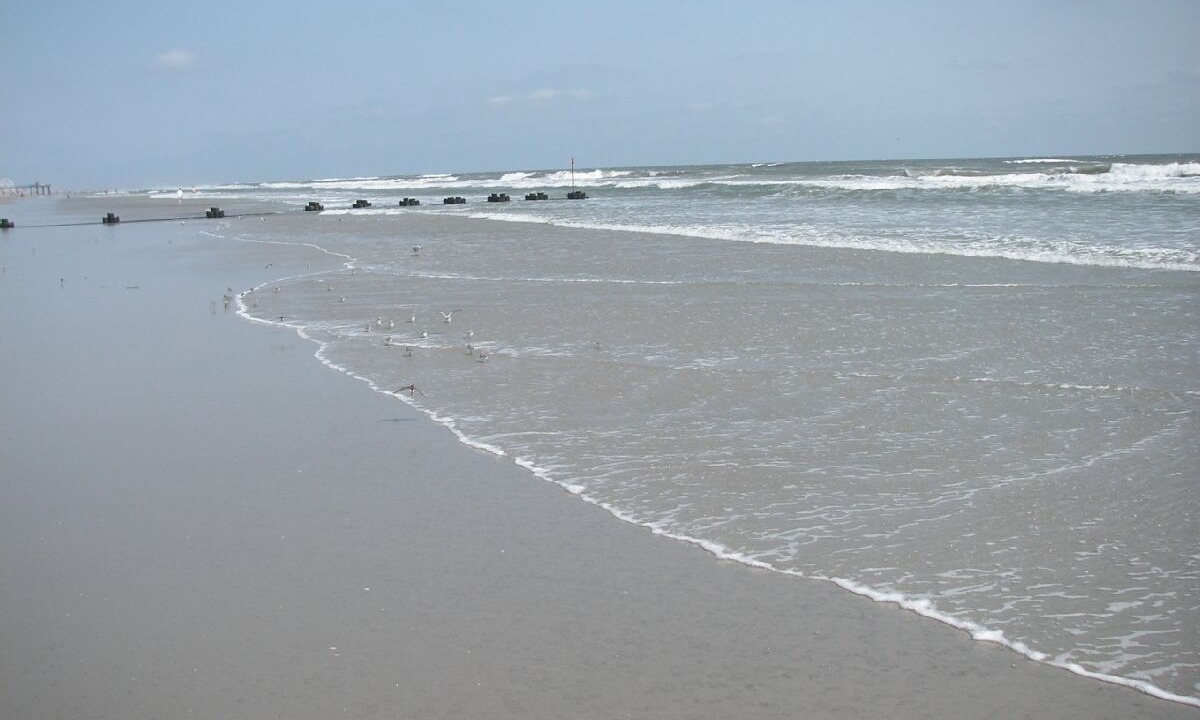 Photo of Others in Wildwood Crest