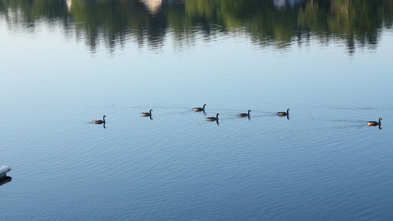 Photo of Others in Lakeside