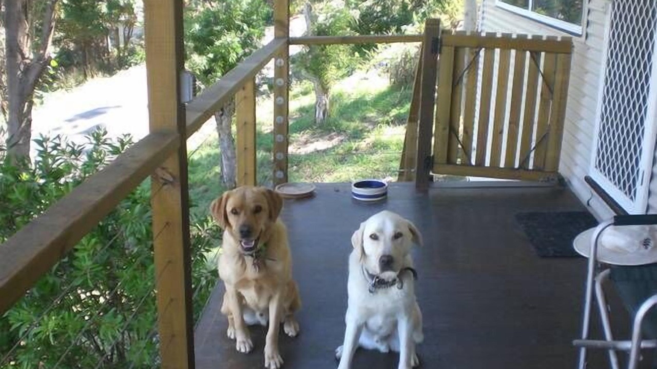 Photo of Patio Balcony in Wye River