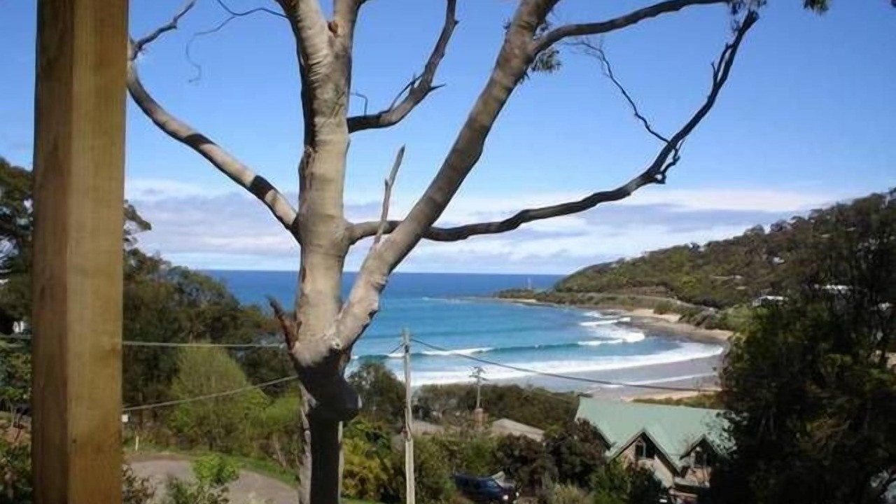 Photo of Others in Wye River