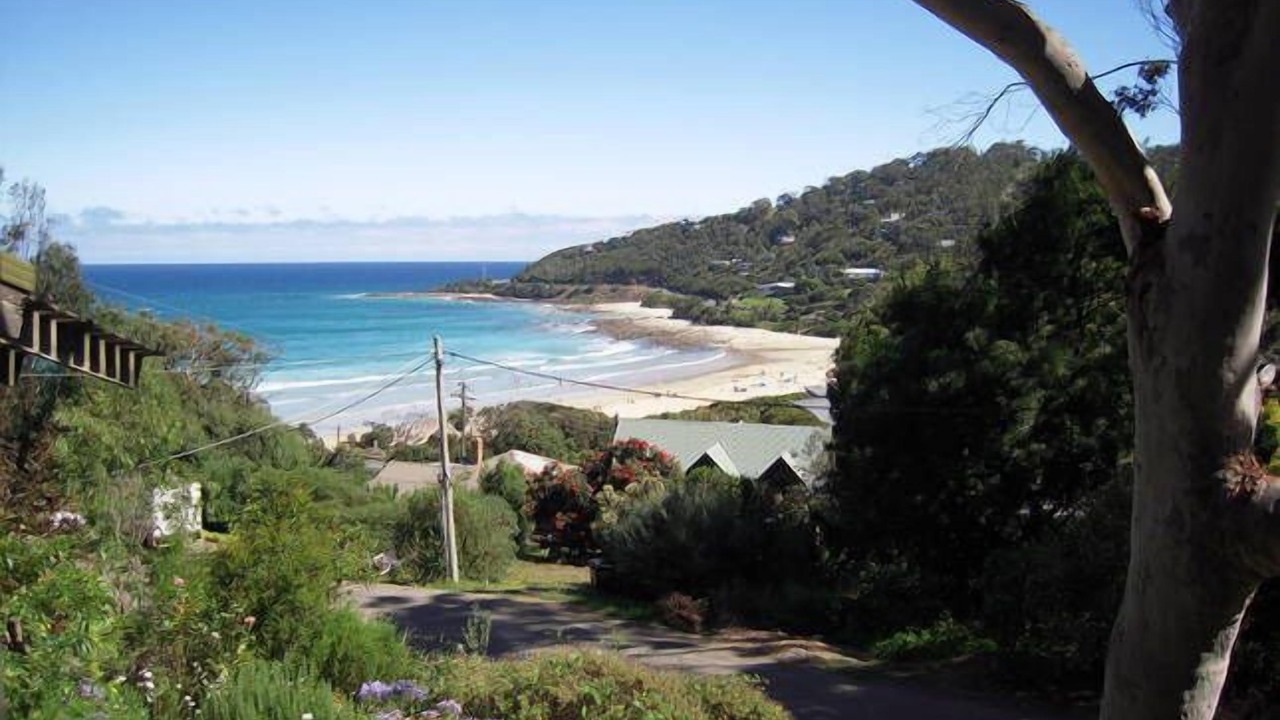 Photo of Others in Wye River