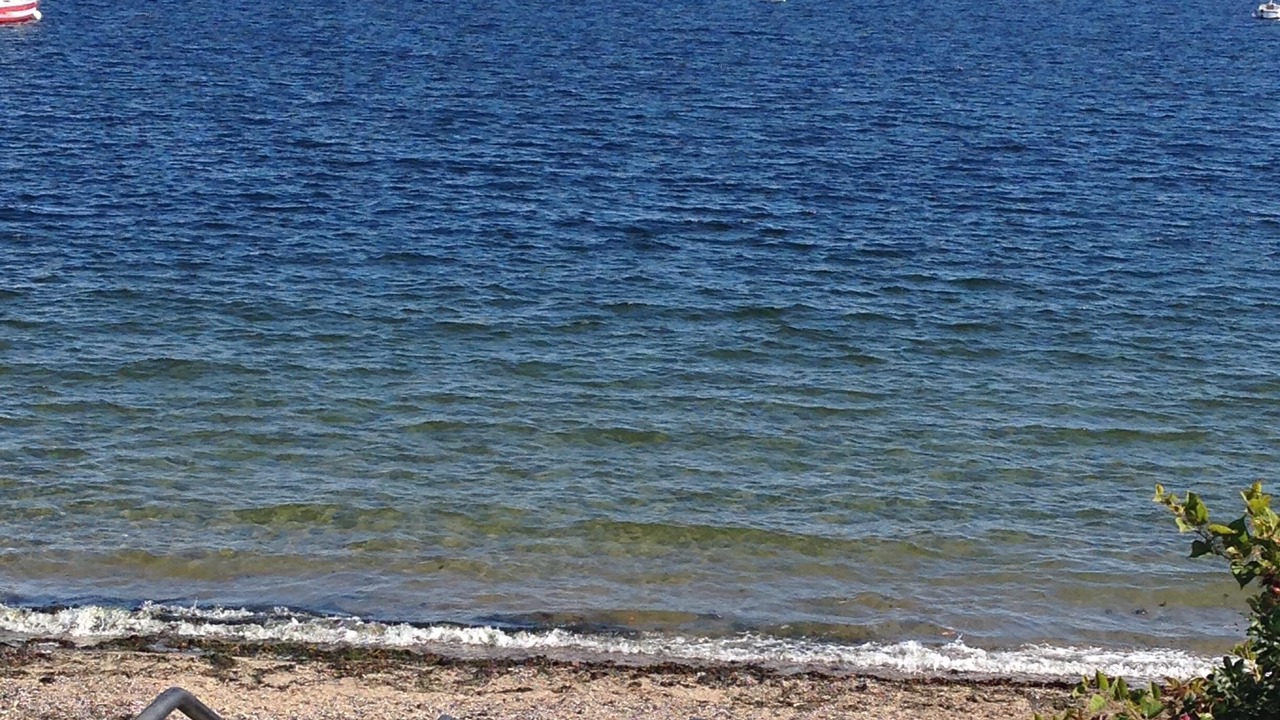 Photo of Others in Rockland