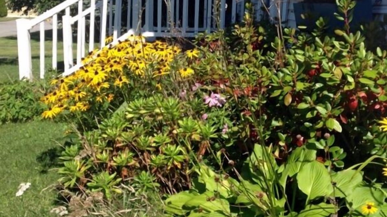 Photo of Others in Rockland