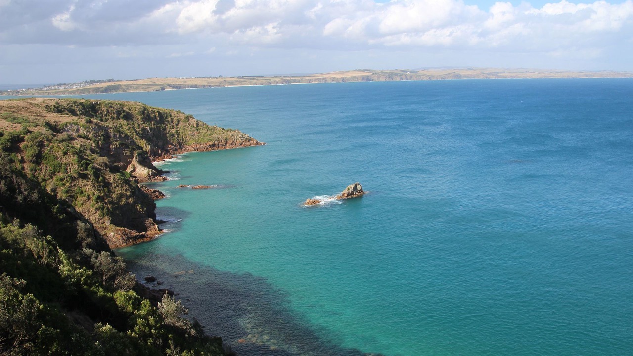 Photo of Others in Cape Woolamai