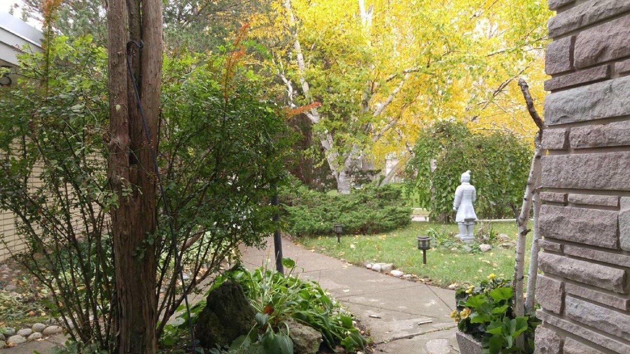 Photo of Outdoor in Bendale
