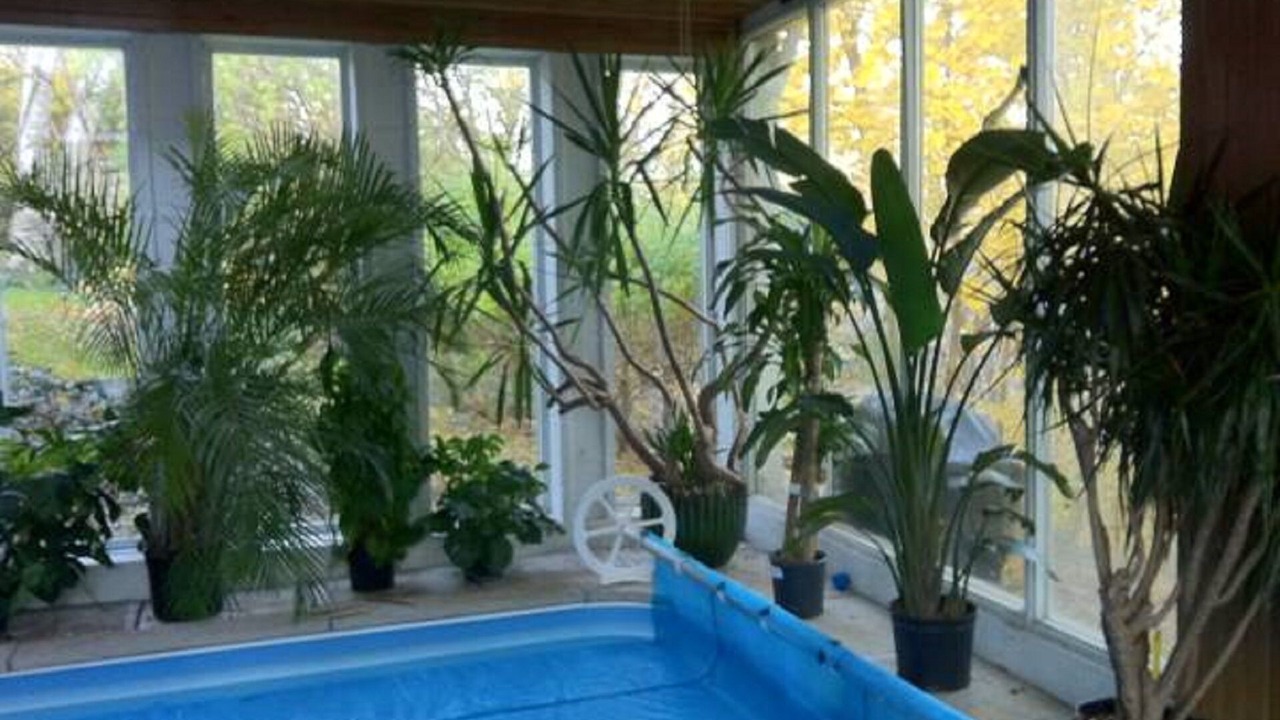 Photo of Outdoor in Bendale