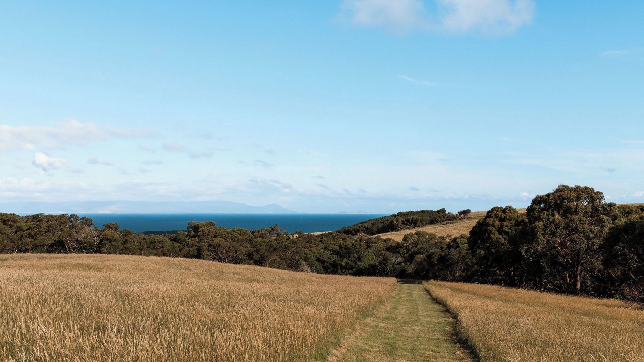 Photo of Others in Tarwin Lower