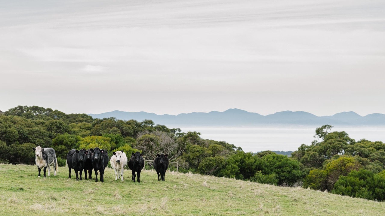 Photo of Outdoor in Tarwin Lower