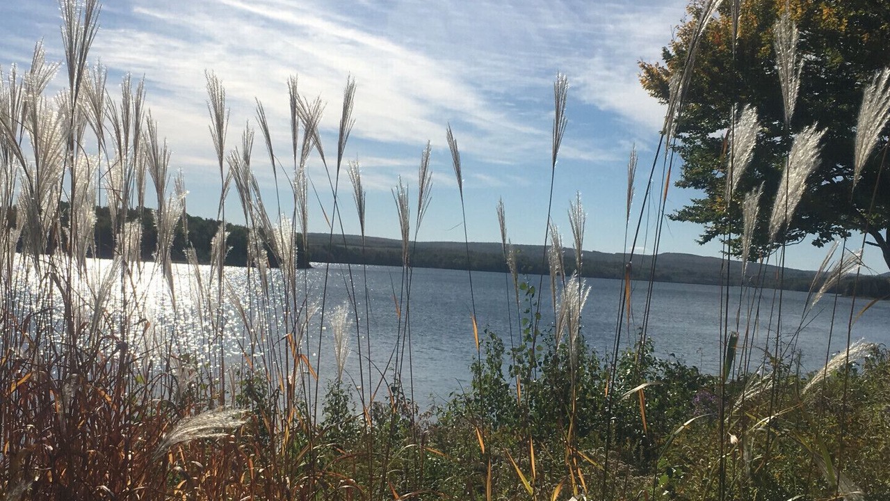 Photo of Others in Woodburn