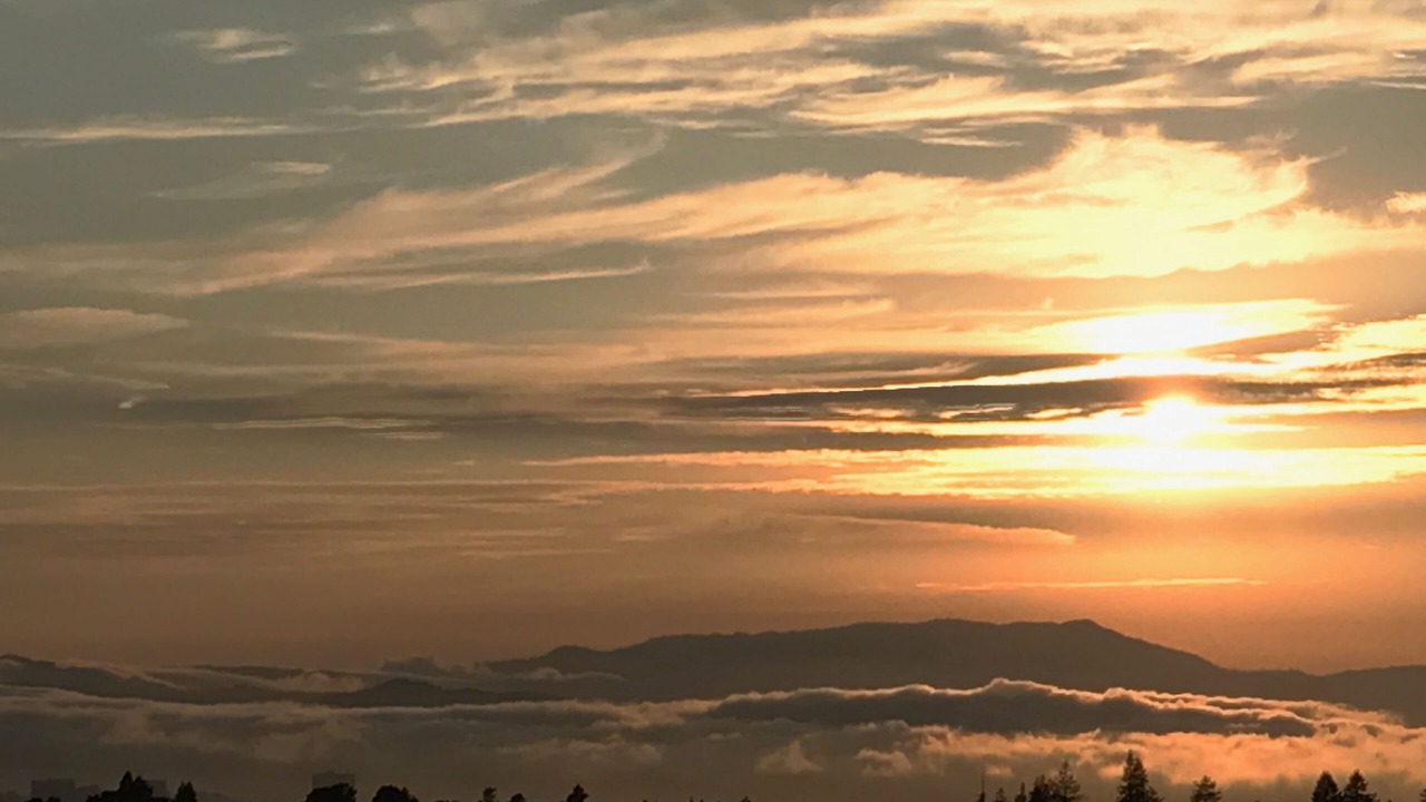 Photo of Others in Montclair