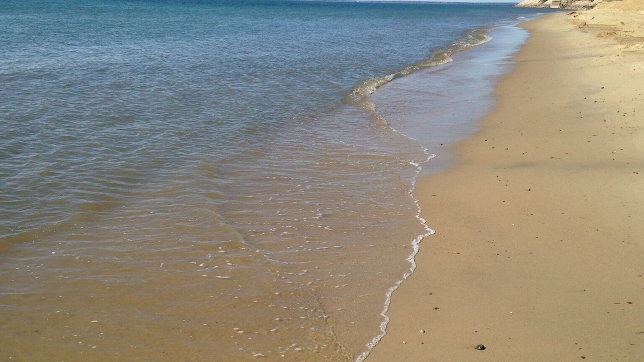 Photo of Others in Mashpee