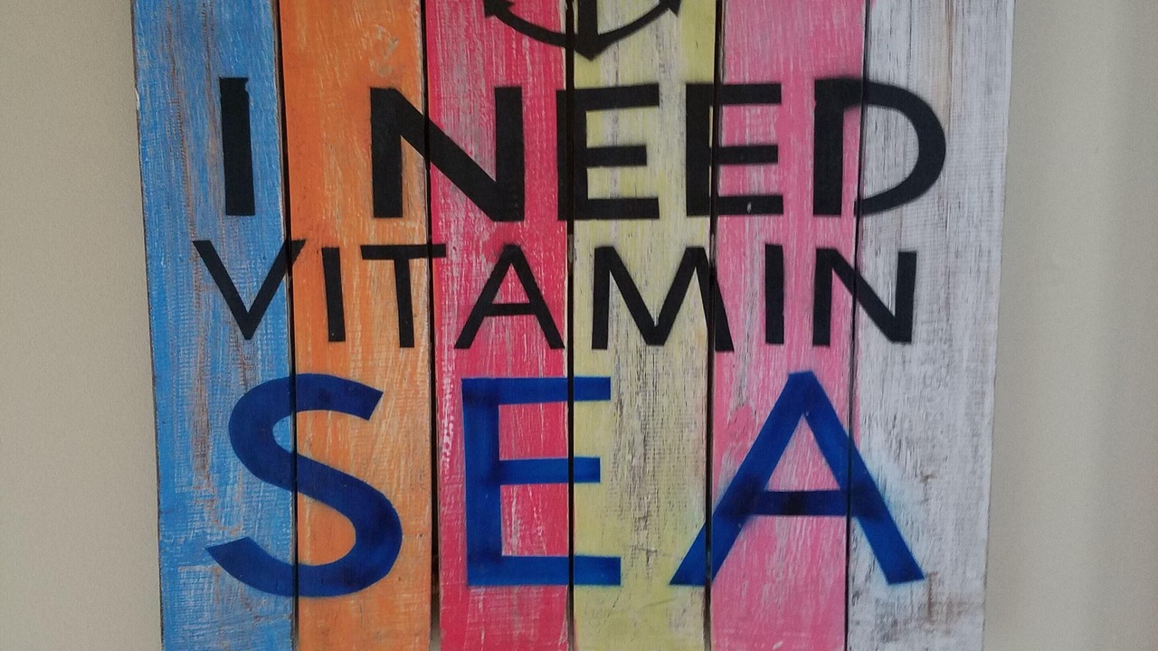 Photo of Others in York Beach