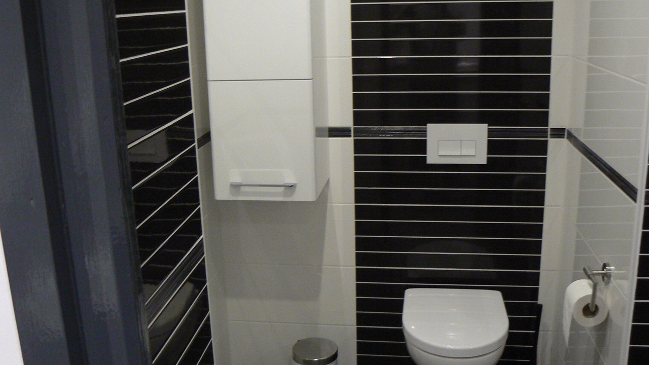 Photo of Bathroom in Canyelles