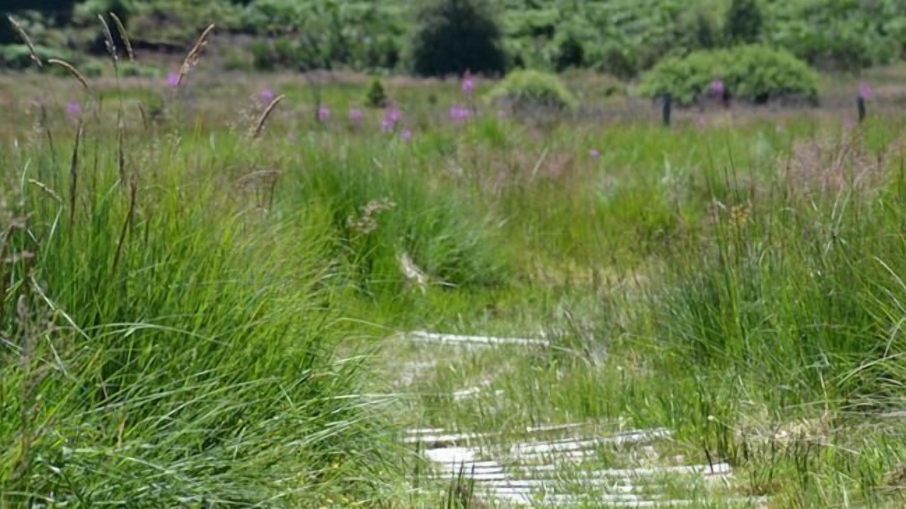 Photo of Outdoor in Saint-Jal