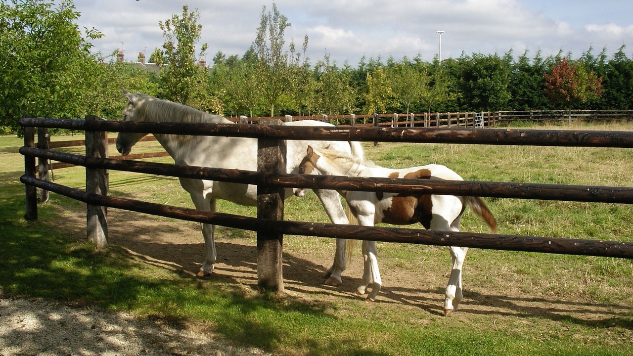 Photo of Outdoor in Monceaux-en-Bessin