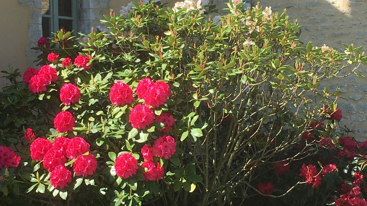 Photo of Outdoor in Monceaux-en-Bessin