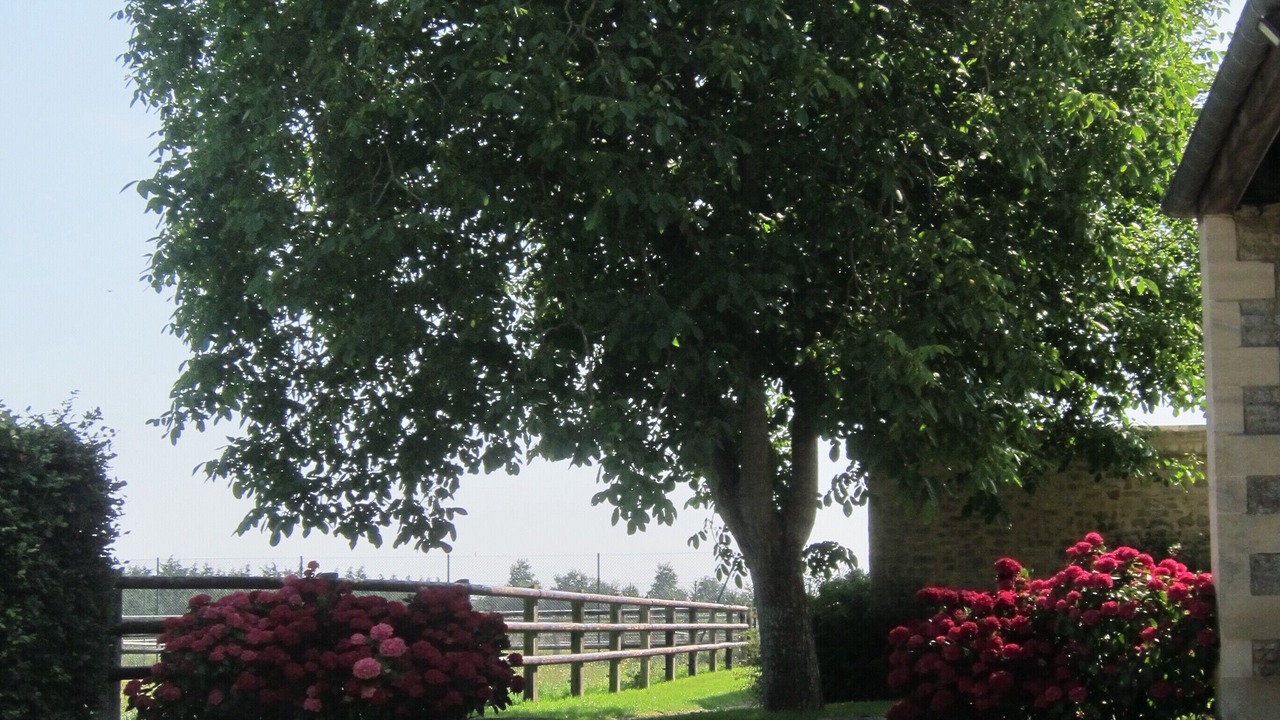 Photo of Outdoor in Monceaux-en-Bessin