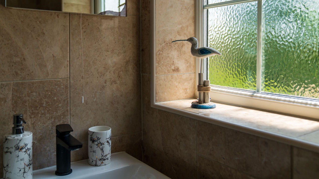 Photo of Others in New Forest District