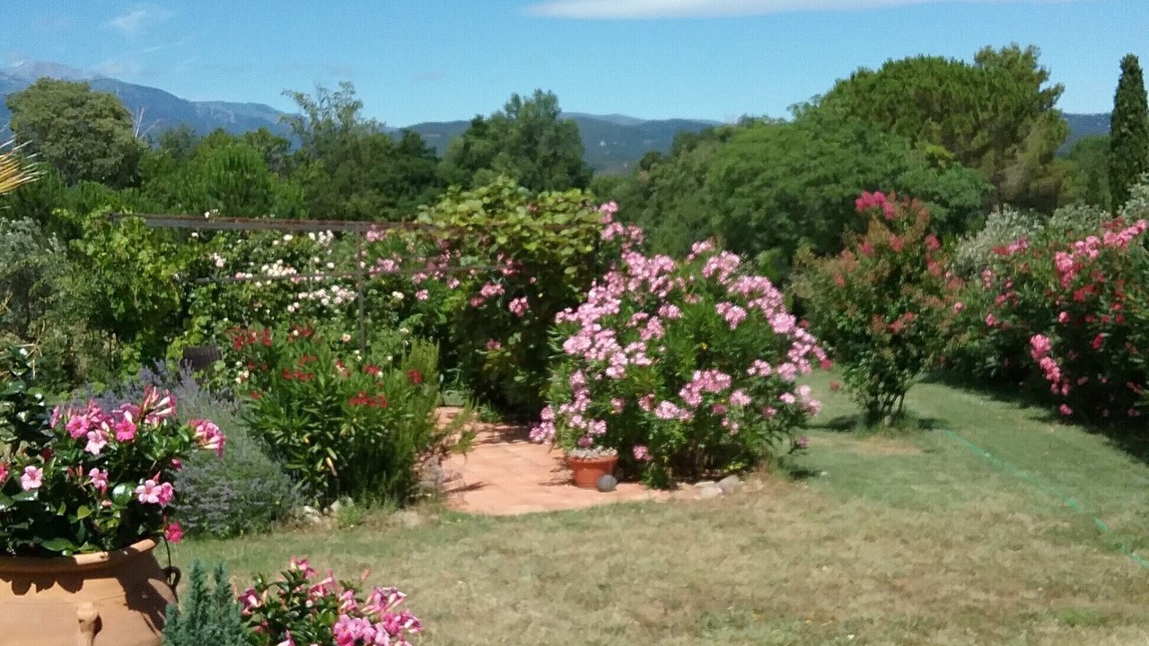Photo of Outdoor in Ceret