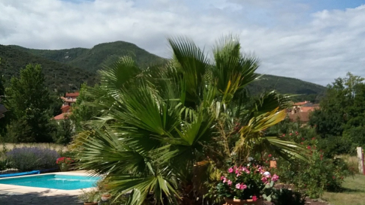 Photo of Outdoor in Ceret