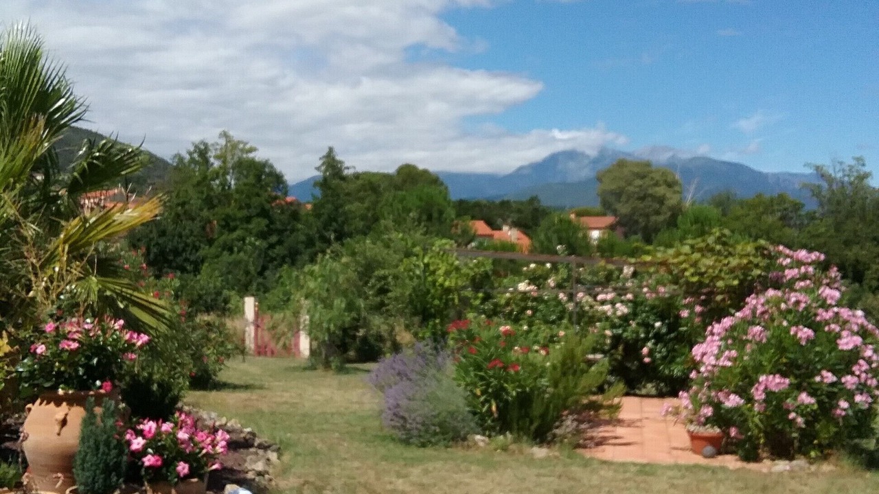 Photo of Outdoor in Ceret