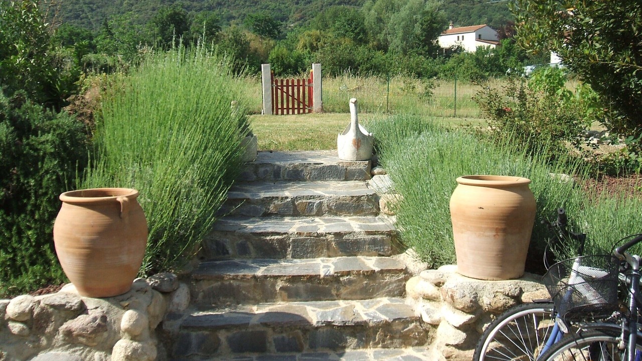 Photo of Outdoor in Ceret