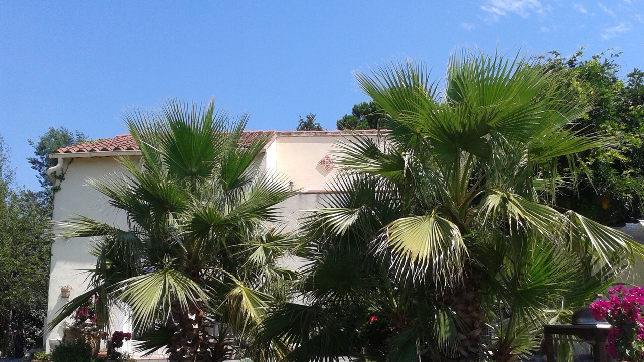 Photo of Outdoor in Ceret
