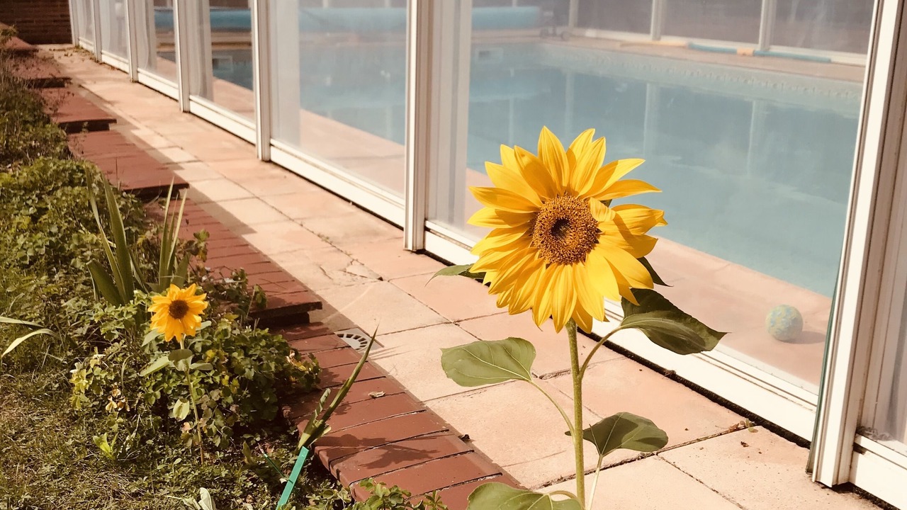 Photo of Outdoor in Dicy